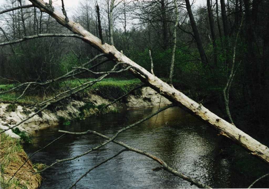 Rzeka Sopot