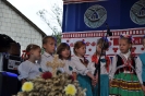 2017 Dożynki_28