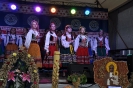 2017 Dożynki_38