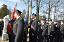 11 listopada 2014_48