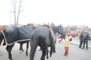  Korowód Urodzinowy Bożego Dzieciątka 2015_28
