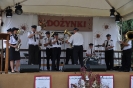 Dożynki 2015_135