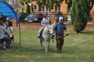 Dożynki 2015_157