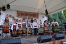 Dożynki 2015_178