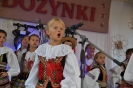 Dożynki 2015_191