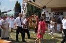 Dożynki 2015_37