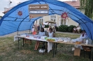 Dożynki 2015_74