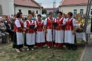 Dożynki 2015_95