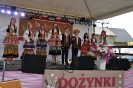 Dożynki w Gminie Łukowa_131