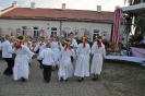 Dożynki w Gminie Łukowa_163