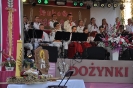 Dożynki w Gminie Łukowa_167