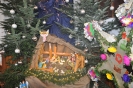 Orszak Trzech Króli 2017_110