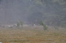 Rekonstrukcja_12