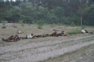 Rekonstrukcja_20