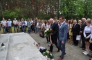 Foto _51