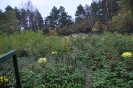 Foto_47