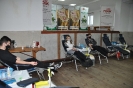 Foto_1