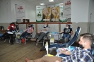 Foto_8
