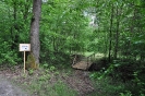 Foto_3