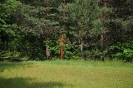 Foto_5