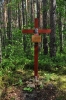 Foto_8