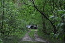 Foto_9