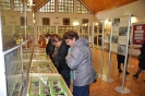 Foto_5