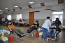 Foto_9