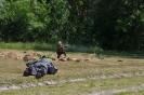 Foto_198