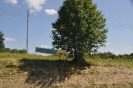 Foto_1