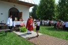 Msza św. odpustowa (2014)