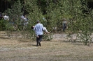 Foto_237