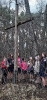 Foto _46