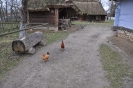 Foto_10