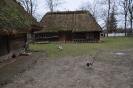 Foto_11