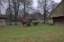 Foto_13