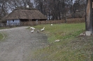 Foto_9