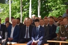 Szarajówka