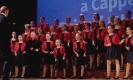 Foto_8