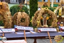 Foto_8