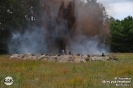 Inscenizacja bitwy _47