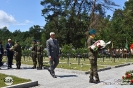 Obchody uroczystości _117