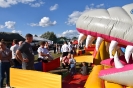 Foto_19
